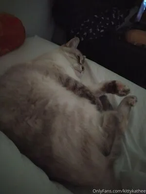Kittykathee OnlyFans Leaked Free Thumbnail Picture - #2vkzozJMox