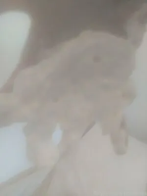Kittykathee OnlyFans Leaked Free Thumbnail Picture - #hgTBGzCezD