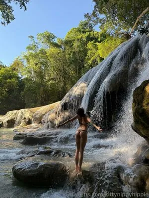 Kittynippyhippie OnlyFans Leaked Free Thumbnail Picture - #9lkIB9MkAu