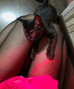 Kkexitt OnlyFans Leaked Free Thumbnail Picture - #ekS9b5WrZE