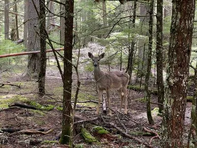 Kmonogamishfree OnlyFans Leaked Free Thumbnail Picture - #iOZn2tHU05