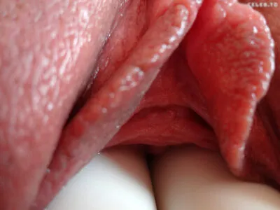 Knallbonbon OnlyFans Leaked Free Thumbnail Picture - #OsCTdOBJ1x