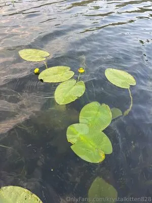 Krystalkitten828 OnlyFans Leaked Free Thumbnail Picture - #5AU8QjYoSA