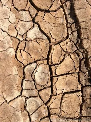 Krystalkitten828 OnlyFans Leaked Free Thumbnail Picture - #cxSeE6teSL