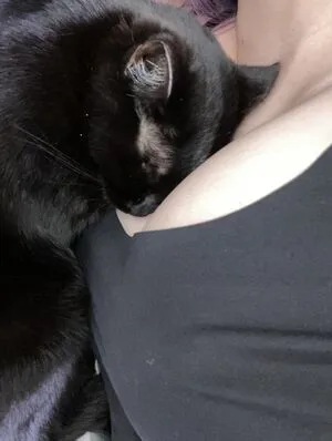 Kson Onair OnlyFans Leaked Free Thumbnail Picture - #CHgW8zR295