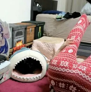 Kson Onair OnlyFans Leaked Free Thumbnail Picture - #NqBb14mQEL