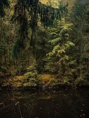 Kupferhaut OnlyFans Leaked Free Thumbnail Picture - #3ZB5IeDf1R