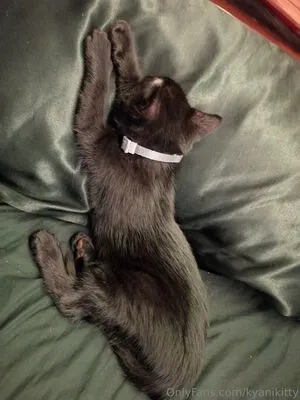 Kyanikitty OnlyFans Leaked Free Thumbnail Picture - #HQPoN5SOm8