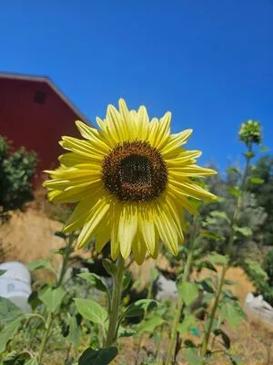 Kymberquinn OnlyFans Leaked Free Thumbnail Picture - #CTI219Y4Fp