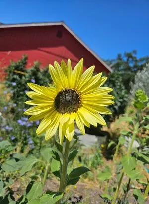 Kymberquinn OnlyFans Leaked Free Thumbnail Picture - #THuMl7N6CJ