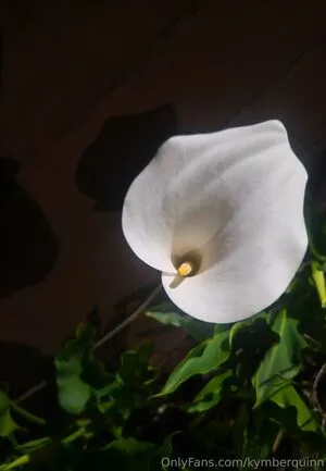 Kymberquinn OnlyFans Leaked Free Thumbnail Picture - #Z2Uc42NfBk