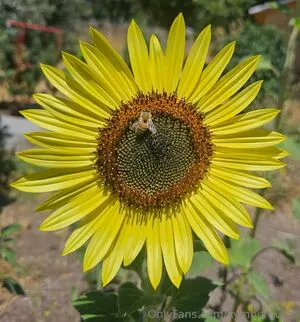 Kymberquinn OnlyFans Leaked Free Thumbnail Picture - #cPU9xmjP2r