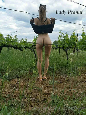 Ladypeanut OnlyFans Leaked Free Thumbnail Picture - #yuWSFmxS6e