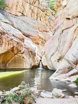 Laneyfox OnlyFans Leaked Free Thumbnail Picture - #wSSGi3qs3I