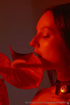 Lapetiteperleofficial OnlyFans Leaked Free Thumbnail Picture - #hJXUmaPStW