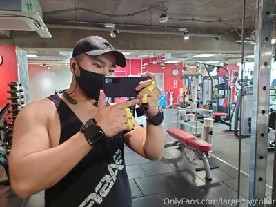 Largedogcollar OnlyFans Leaked Free Thumbnail Picture - #1CEL5lVMTl