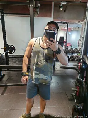 Largedogcollar OnlyFans Leaked Free Thumbnail Picture - #2S41SkQtI6