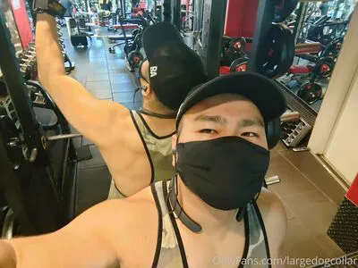 Largedogcollar OnlyFans Leaked Free Thumbnail Picture - #3W8AiXJSCN