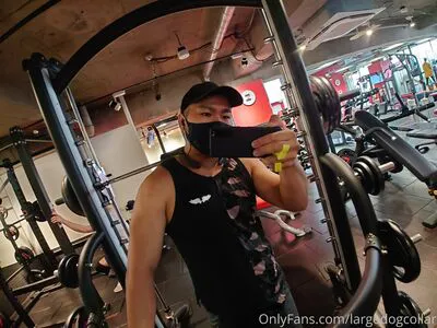 Largedogcollar OnlyFans Leaked Free Thumbnail Picture - #4vneu3JhpW