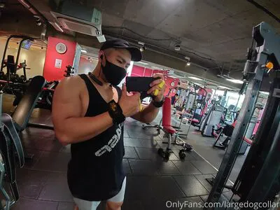 Largedogcollar OnlyFans Leaked Free Thumbnail Picture - #5m6gdixFud