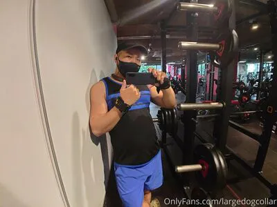 Largedogcollar OnlyFans Leaked Free Thumbnail Picture - #6pqjl71vAy