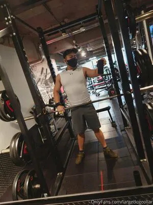 Largedogcollar OnlyFans Leaked Free Thumbnail Picture - #AYHASFAiS7