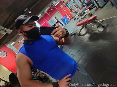 Largedogcollar OnlyFans Leaked Free Thumbnail Picture - #CAMQvnFXFT