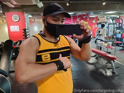 Largedogcollar OnlyFans Leaked Free Thumbnail Picture - #Ds7dPmoSZ0
