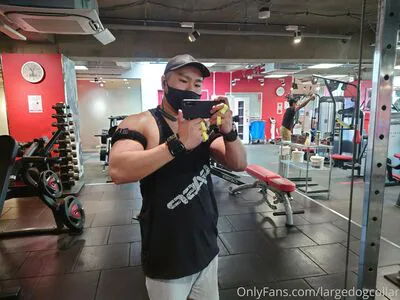 Largedogcollar OnlyFans Leaked Free Thumbnail Picture - #FgLWuOE8FO