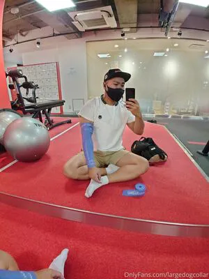 Largedogcollar OnlyFans Leaked Free Thumbnail Picture - #GIXoeKfkPp