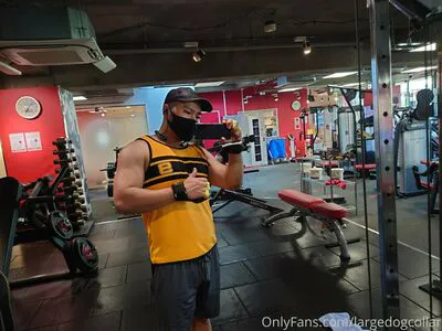 Largedogcollar OnlyFans Leaked Free Thumbnail Picture - #HKdUqiiyLU