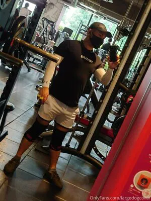Largedogcollar OnlyFans Leaked Free Thumbnail Picture - #IZeOFOFVgT