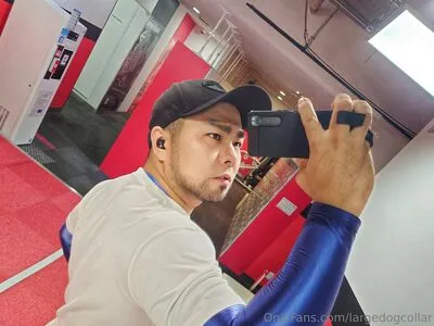 Largedogcollar OnlyFans Leaked Free Thumbnail Picture - #IfQh2DXnFi