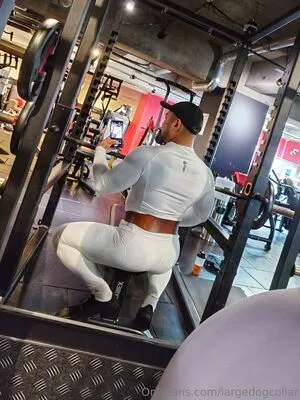 Largedogcollar OnlyFans Leaked Free Thumbnail Picture - #Iz5JEUx41J