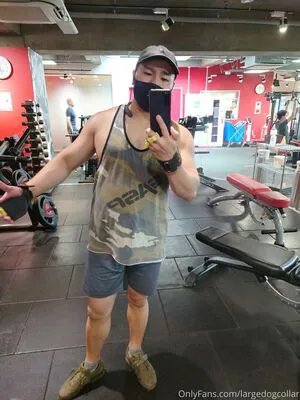 Largedogcollar OnlyFans Leaked Free Thumbnail Picture - #MTTlCHLmRS