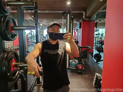 Largedogcollar OnlyFans Leaked Free Thumbnail Picture - #NBhgPTYava
