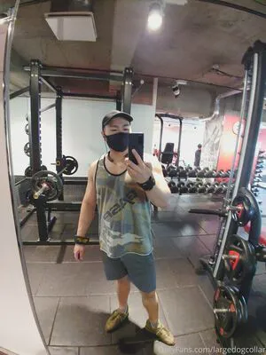 Largedogcollar OnlyFans Leaked Free Thumbnail Picture - #QAhOBng5Og