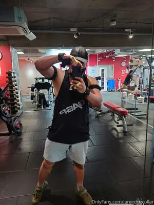 Largedogcollar OnlyFans Leaked Free Thumbnail Picture - #QrsycrPexr