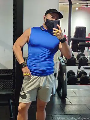 Largedogcollar OnlyFans Leaked Free Thumbnail Picture - #XysTeGoCjg