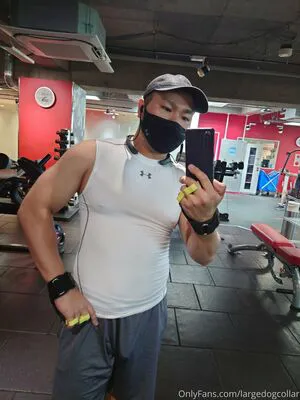 Largedogcollar OnlyFans Leaked Free Thumbnail Picture - #ZIY592YJH6