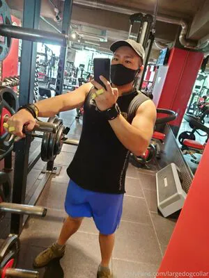 Largedogcollar OnlyFans Leaked Free Thumbnail Picture - #ZTZAOJFX6y