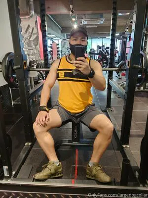 Largedogcollar OnlyFans Leaked Free Thumbnail Picture - #bEoOShOgHz