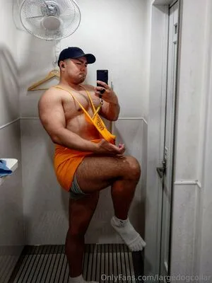Largedogcollar OnlyFans Leaked Free Thumbnail Picture - #kwbjUv9RE9