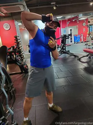 Largedogcollar OnlyFans Leaked Free Thumbnail Picture - #nvfLZFtWjd