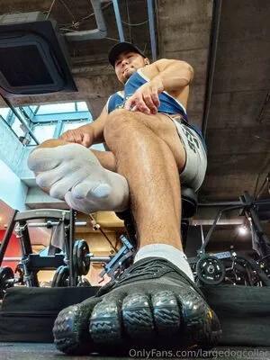 Largedogcollar OnlyFans Leaked Free Thumbnail Picture - #pdCX13K1Xp