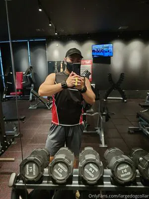Largedogcollar OnlyFans Leaked Free Thumbnail Picture - #ya8R1M1nbq