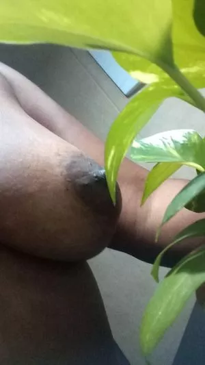 Larissa Pimenta OnlyFans Leaked Free Thumbnail Picture - #zDetXGWrkz