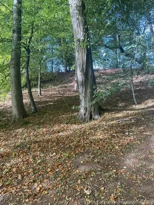 Laura Rose OnlyFans Leaked Free Thumbnail Picture - #HAlhGeB0DN