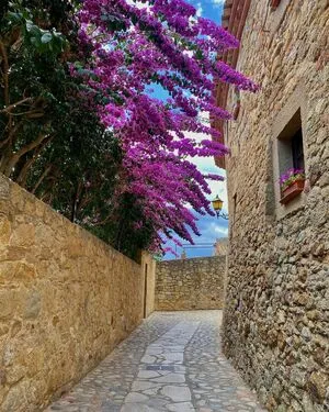 Lauren Bennett OnlyFans Leaked Free Thumbnail Picture - #vbbhukeVSH