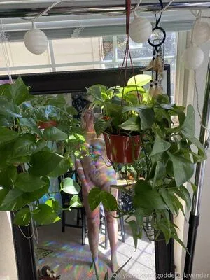 Lavenderalienvip OnlyFans Leaked Free Thumbnail Picture - #jWRFWMDylT